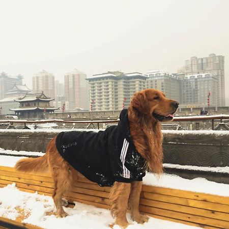 西安杰诺庭院背包旅舍旅舍 外观 照片